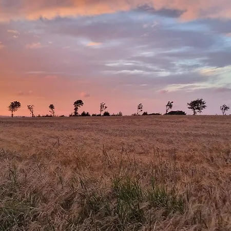 5 Person In Roslev-by Traum *