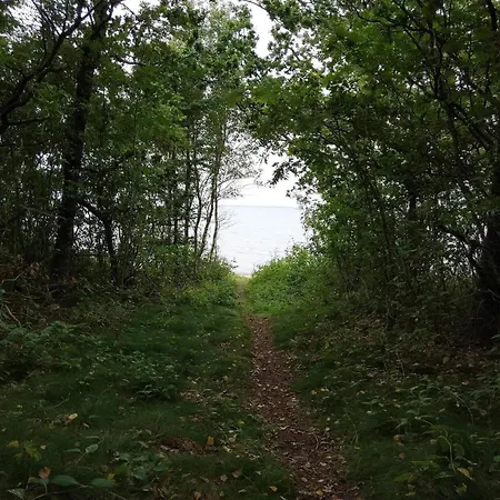 5 Person In Roslev-by Traum