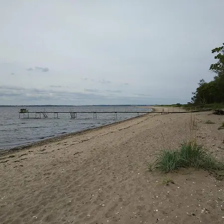 5 Person In Roslev-by Traum Roslev