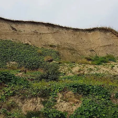 5 Person In Roslev-by Traum * Roslev