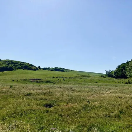 5 Person In Roslev-by Traum *